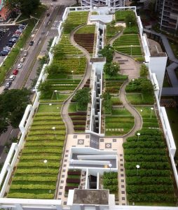 roof top gardens