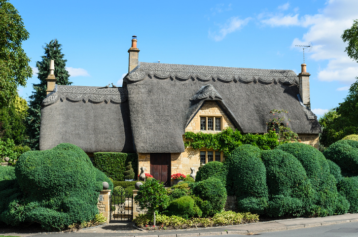 Thatched roof house